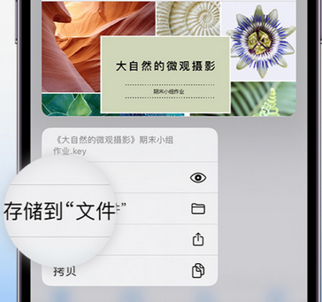 东山apple维修中心分享iPhone文件应用中存储和找到下载文件