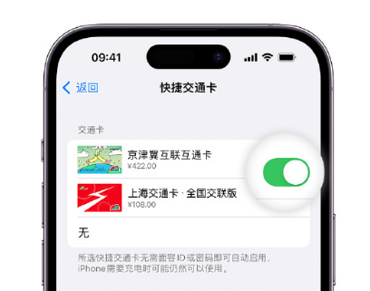 东山apple维修点分享iPhone上更换Apple Pay快捷交通卡手绘卡面 