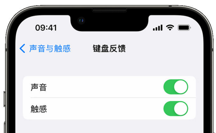 东山苹果手机维修分享iPhone 14触感键盘使用方法 