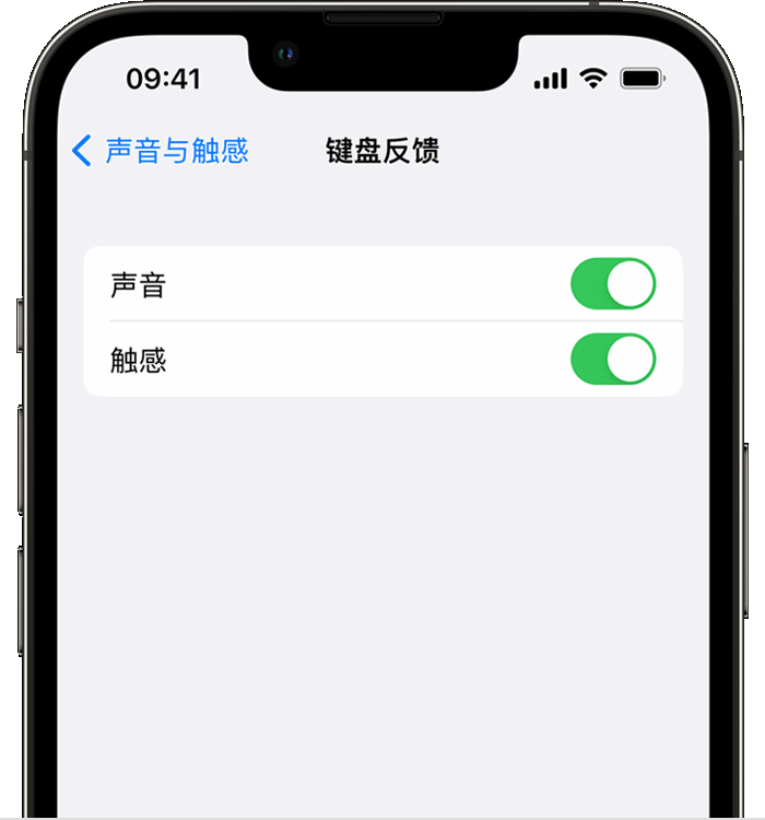 东山苹果14维修店分享如何在 iPhone 14 机型中使用触感键盘 