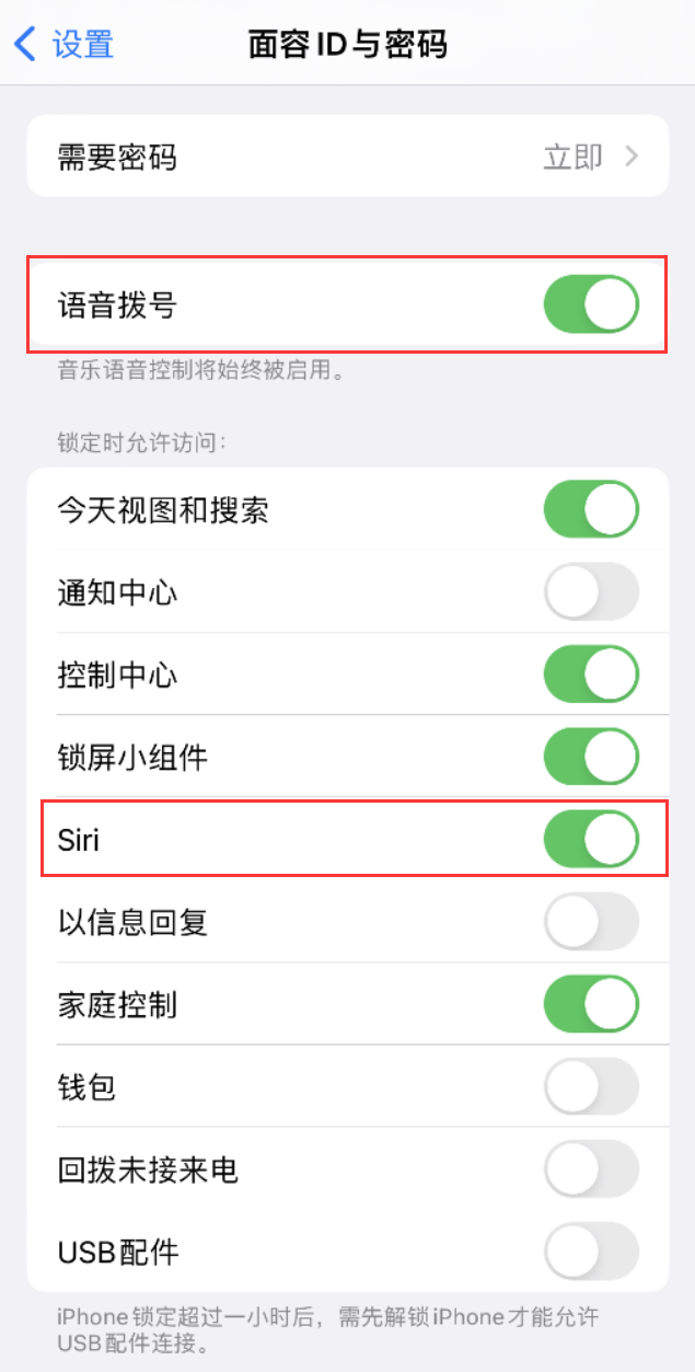 东山苹果维修网点分享不解锁 iPhone 的情况下通过 Siri 拨打电话的方法 