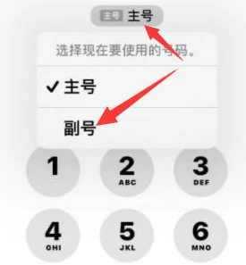 东山苹果14维修店分享iPhone 14 Pro Max使用副卡打电话的方法 