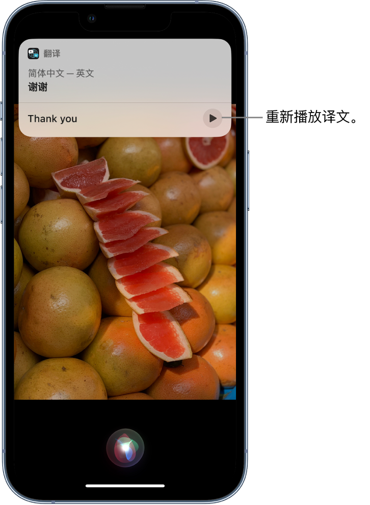 东山苹果14维修分享 iPhone 14 机型中使用 Siri：了解 Siri 能帮你做什么 