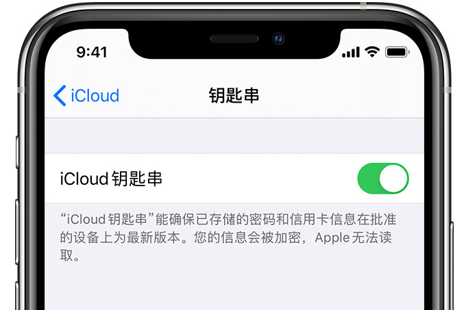 东山苹果手机维修分享在 iPhone 上开启 iCloud 钥匙串之后会储存哪些信息 