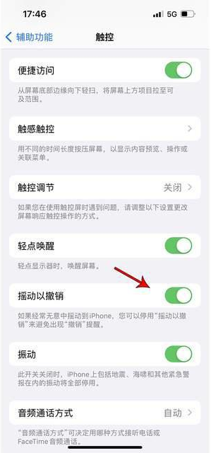 东山苹果手机维修分享iPhone手机如何设置摇一摇删除文字 